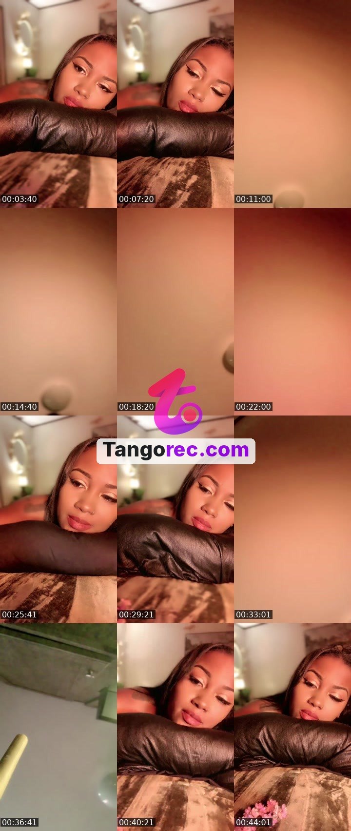 @silkfairy Tango live from 2026-09-28