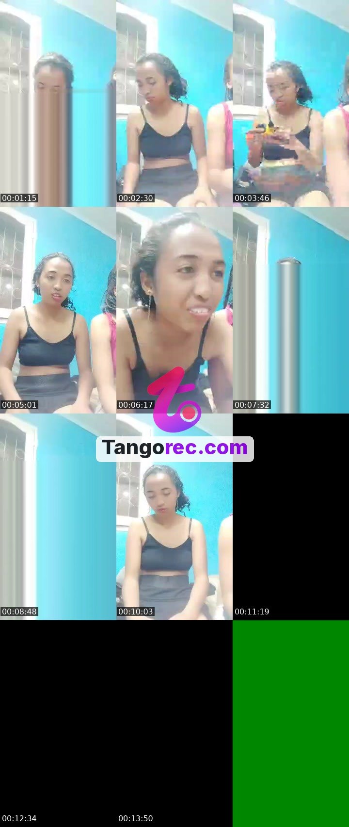 @shogun-falcon-246367 Tango live from 2026-09-28