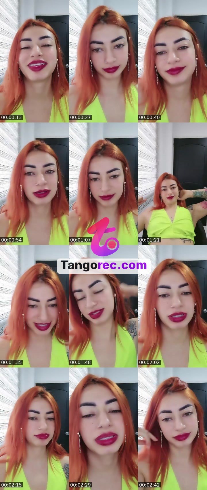 @vole41 Tango LIVE