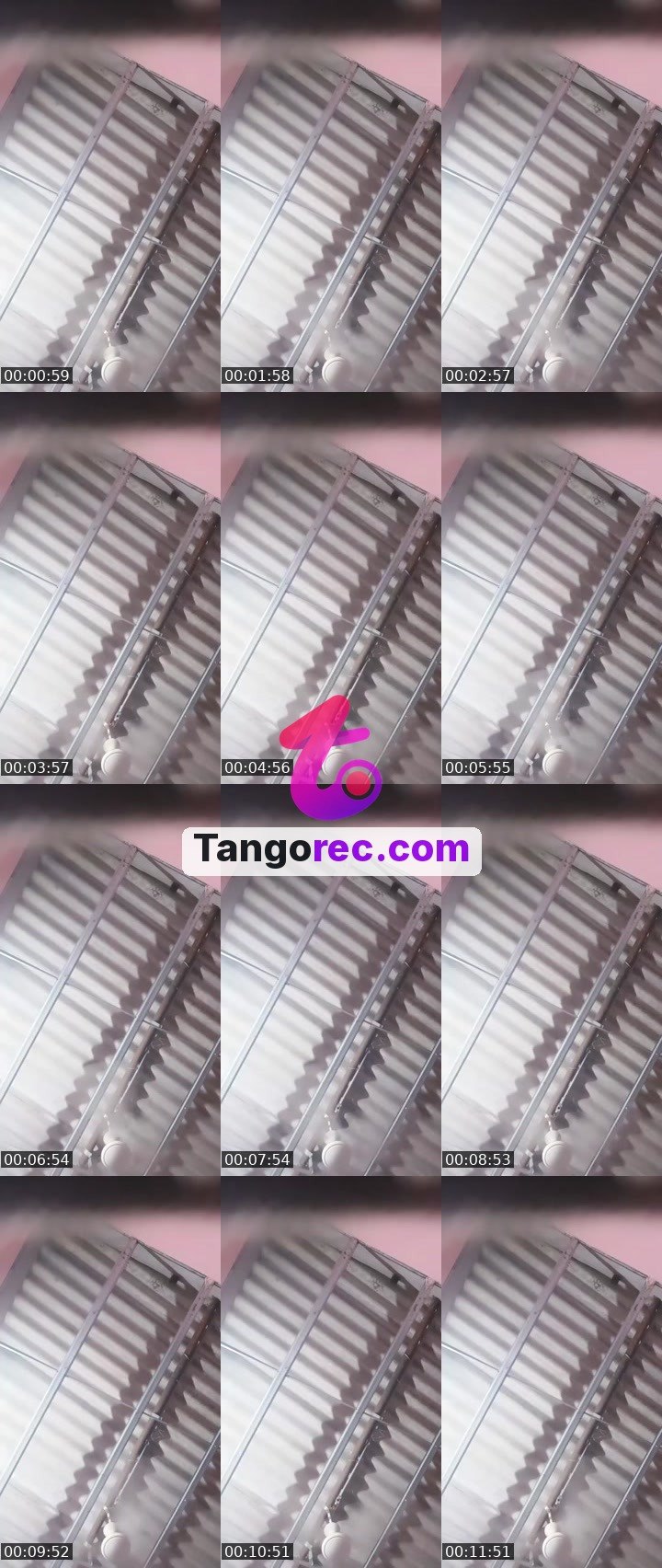 @pleasecheckmyid Tango live from 2026-09-28