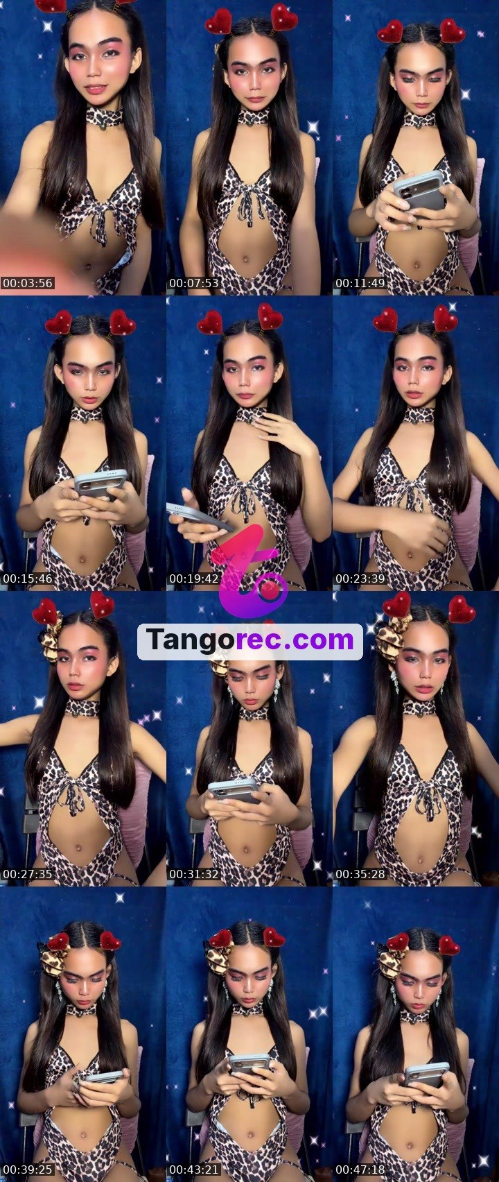 @steelstallion-603493 Tango live from 2026-09-28