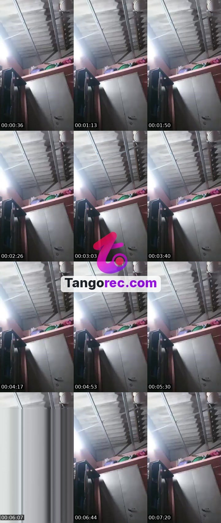 @pleasecheckmyid Tango live from 2026-09-28
