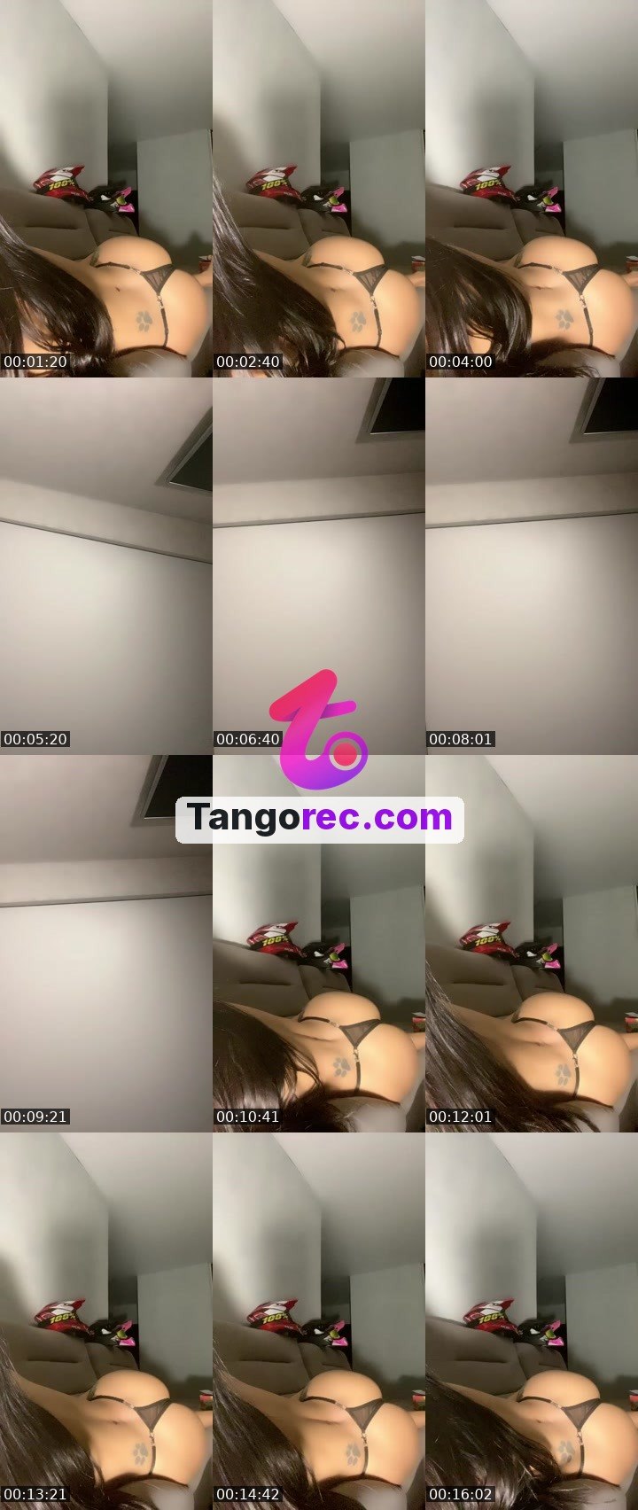 @meowrrrrrr Tango LIVE from 2026-09-28