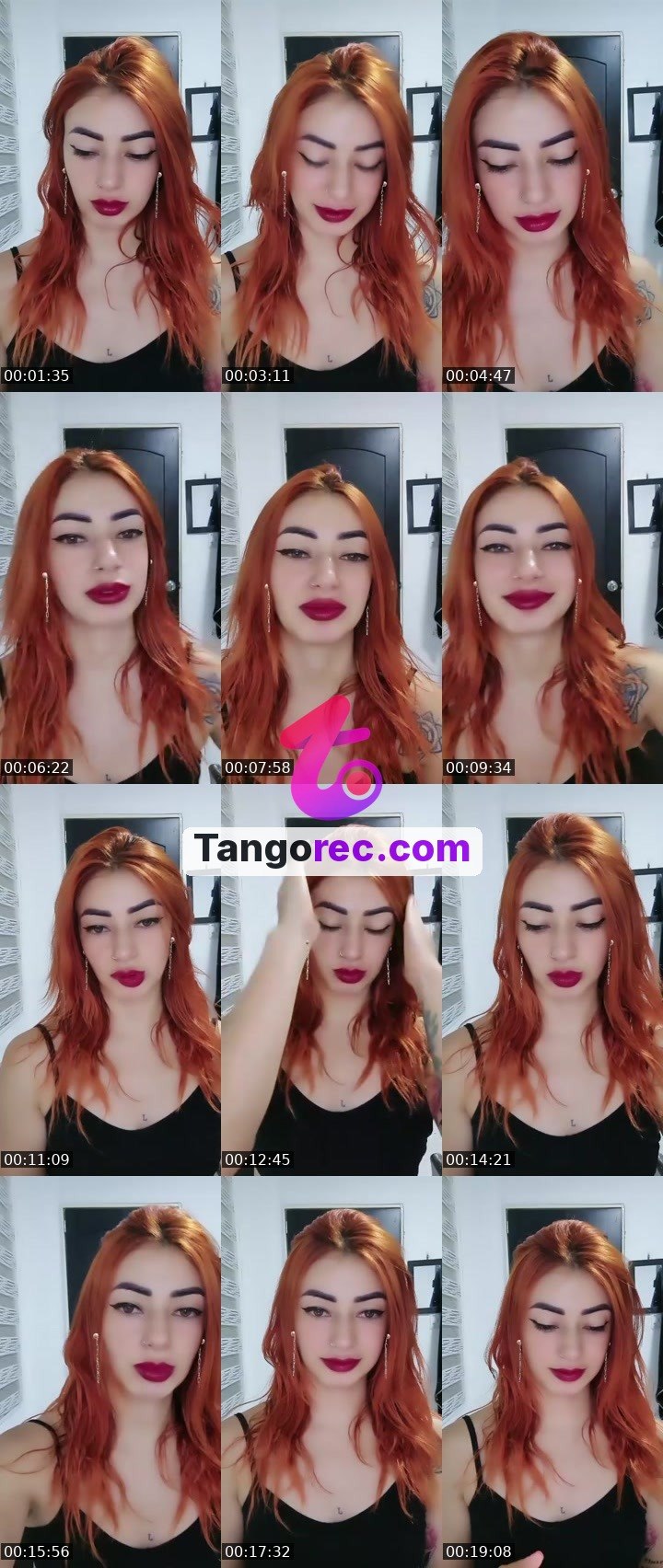 @vole41 Tango LIVE
