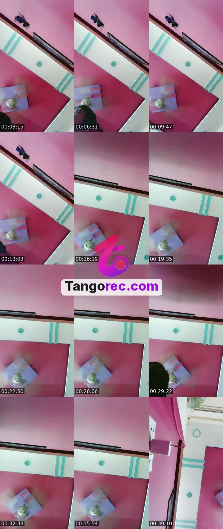 @bigsp7 Tango live from 2026-09-29