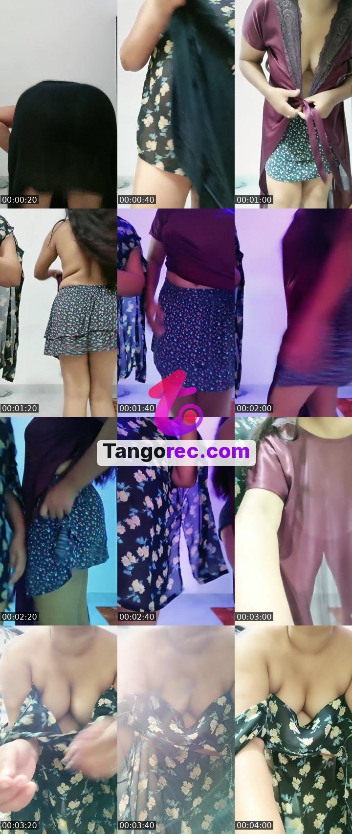 @glorious-squirrel-83744 Tango live from 2026-09-29