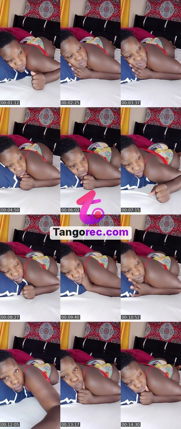 @pleasantpenguin-51426 Tango LIVE