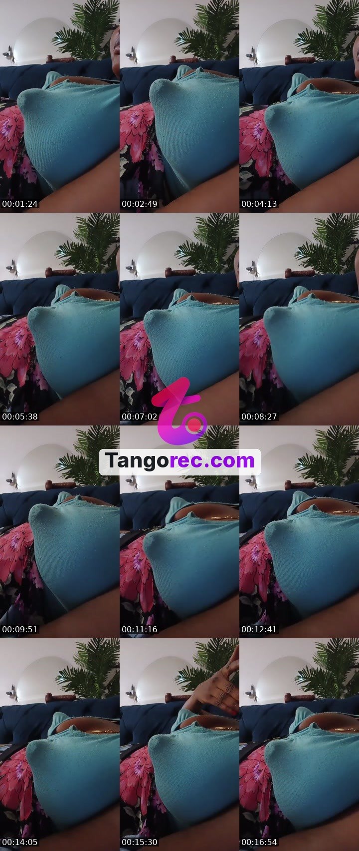 @hhottie22 Tango live from 2026-09-29