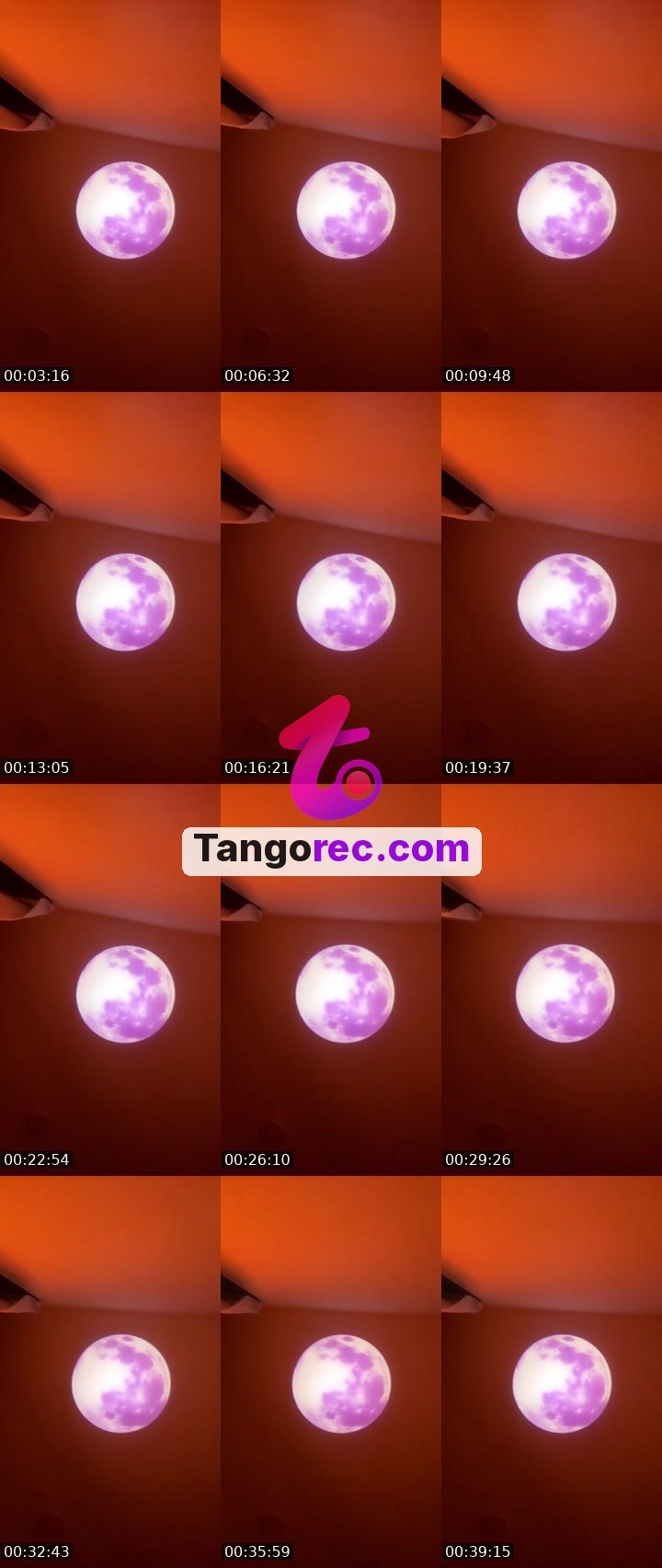 @selenecurvy Tango LIVE
