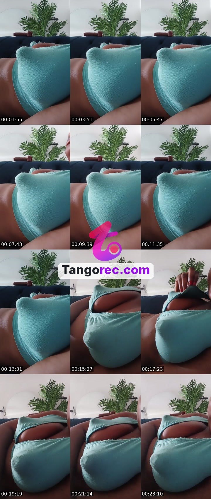 @hhottie22 Tango live from 2026-09-29