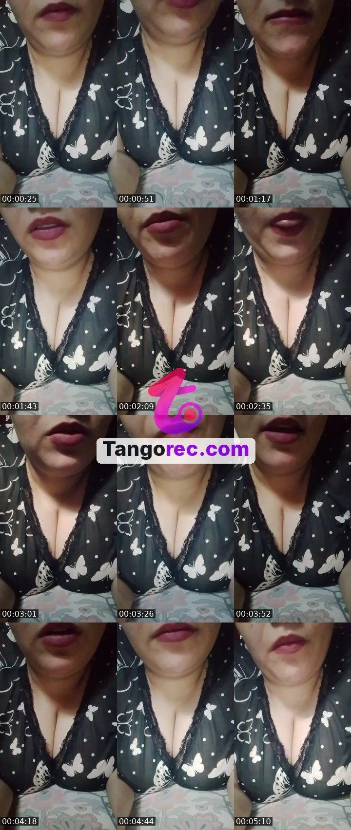 @boxing-bear-255364 Tango live from 2026-09-29