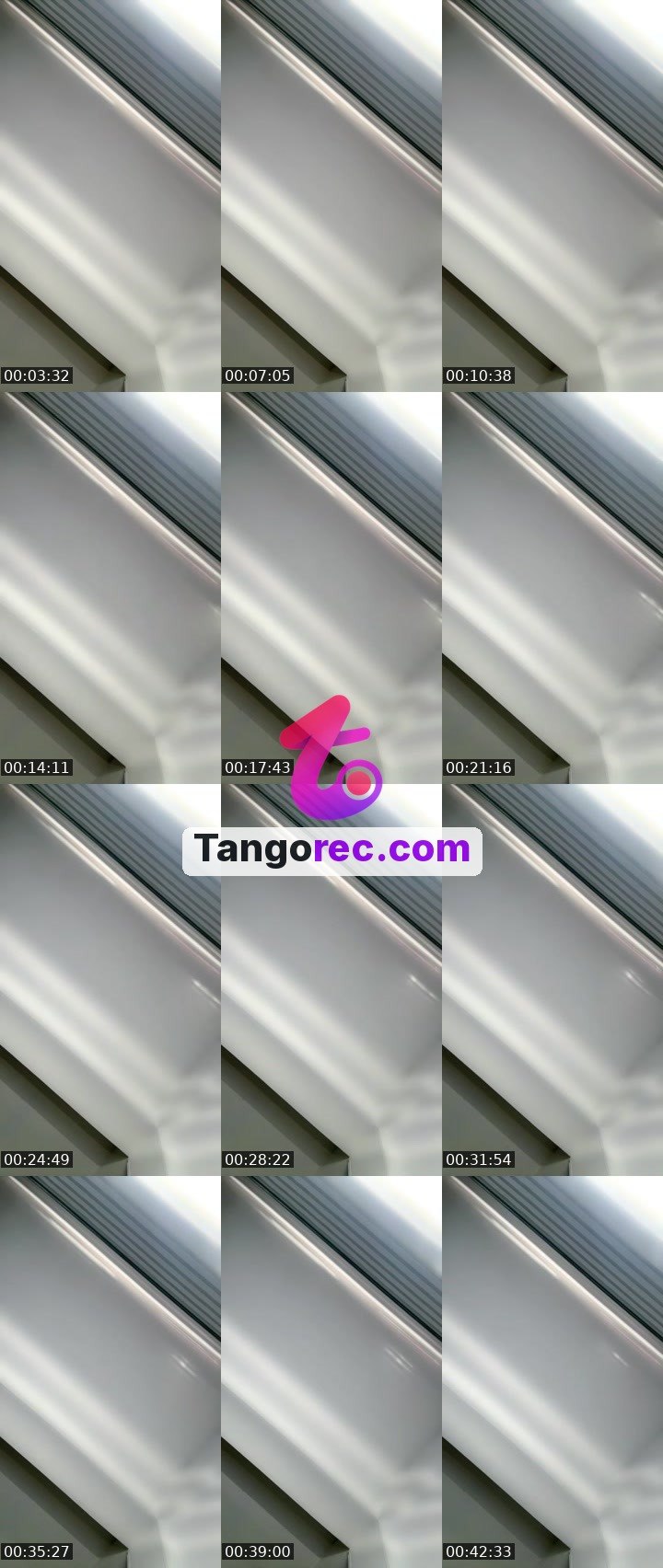 @zoe21 Tango live from 2026-09-29