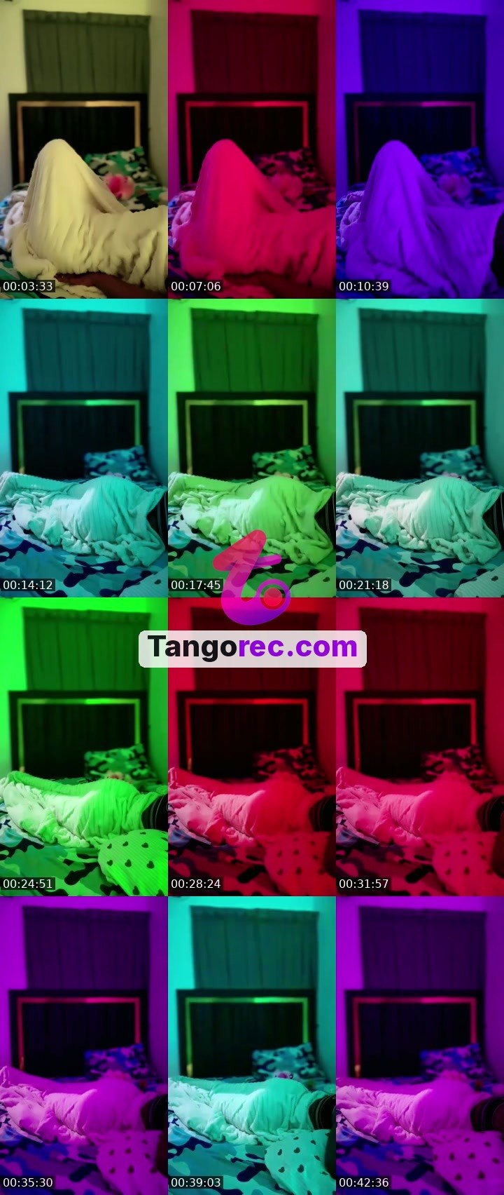 @guess856 Tango LIVE