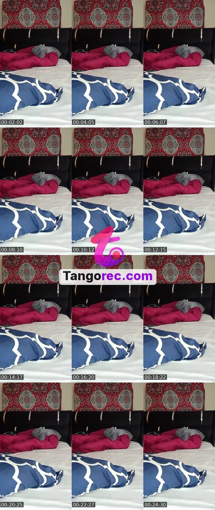 @pleasantpenguin-51426 Tango LIVE