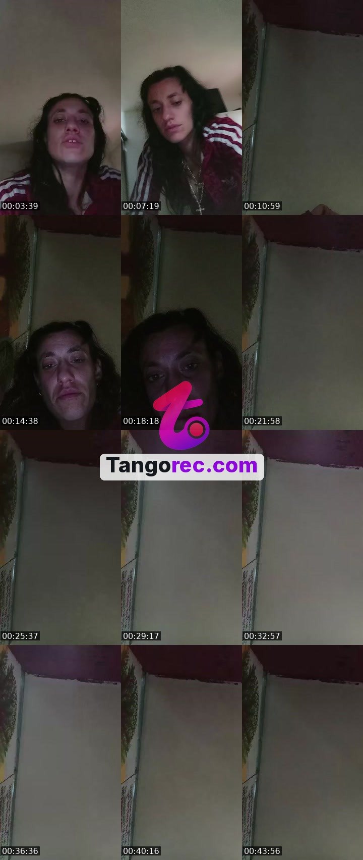@perritamalvada Tango LIVE