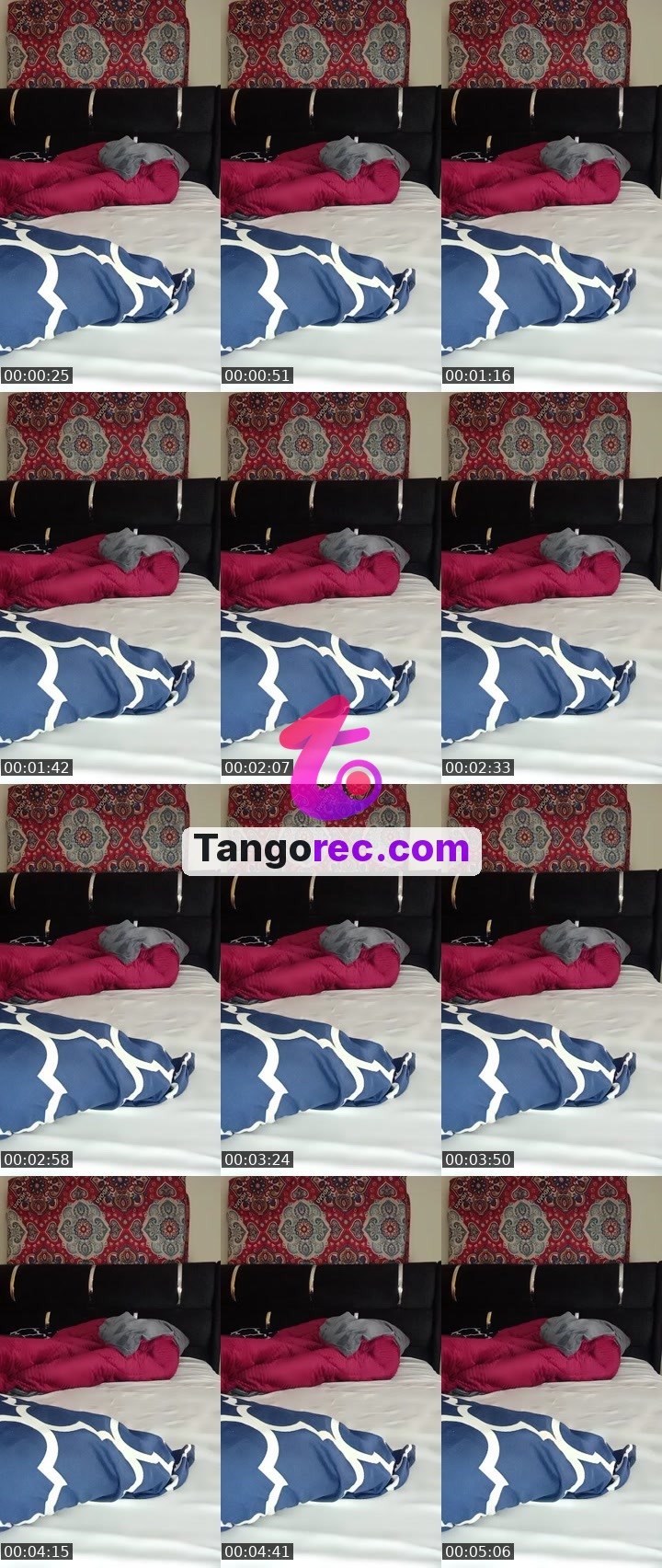 @pleasantpenguin-51426 Tango LIVE
