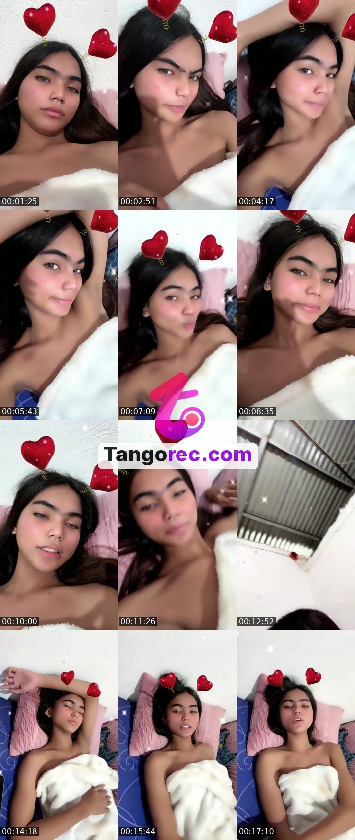 @steelstallion-603493 Tango LIVE