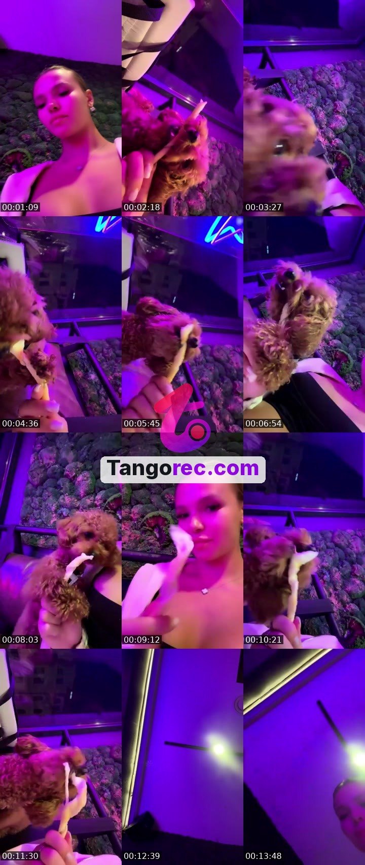 @youknowsiknow Tango LIVE