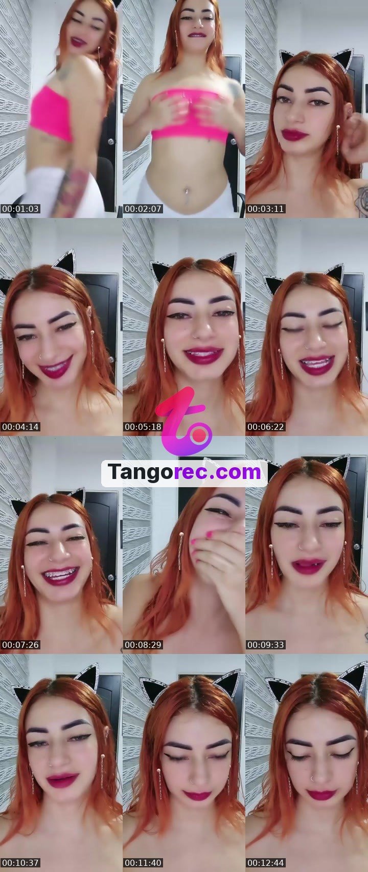 @vole41 Tango LIVE