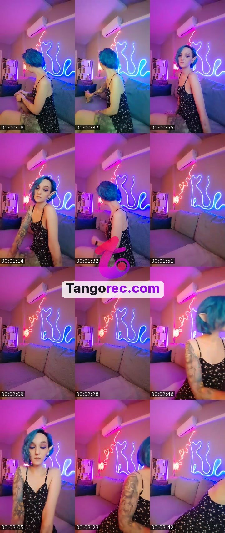 @julia-436 Tango LIVE