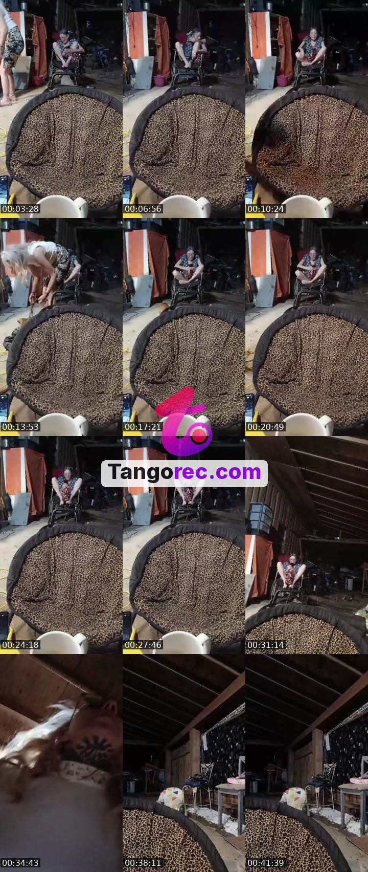 @ig-901nba Tango live from 2026-09-29