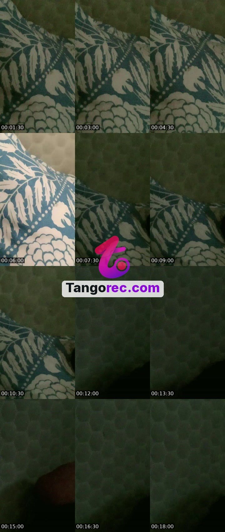 @jaatni170 Tango live from 2026-09-30