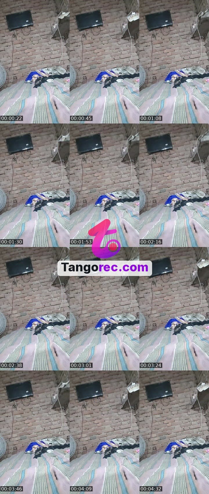 @action-hippo-303474 Tango live from 2026-09-30