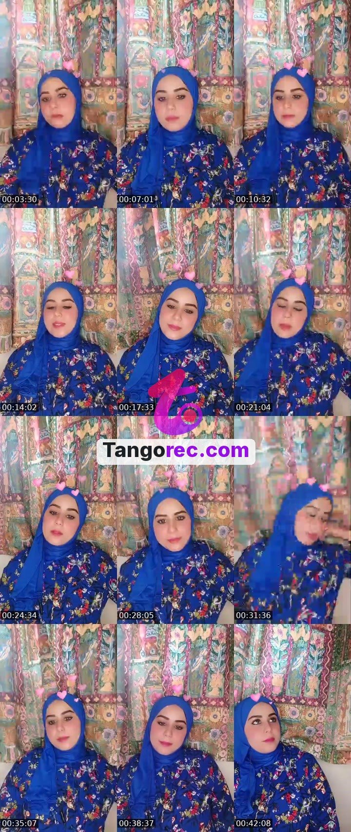 @talonjackal-27640 Tango live from 2026-09-30