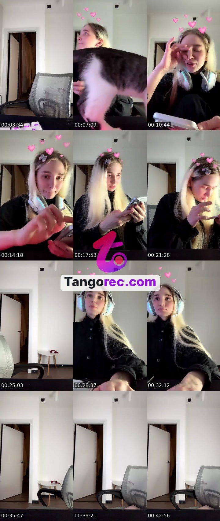 @xd67 Tango LIVE