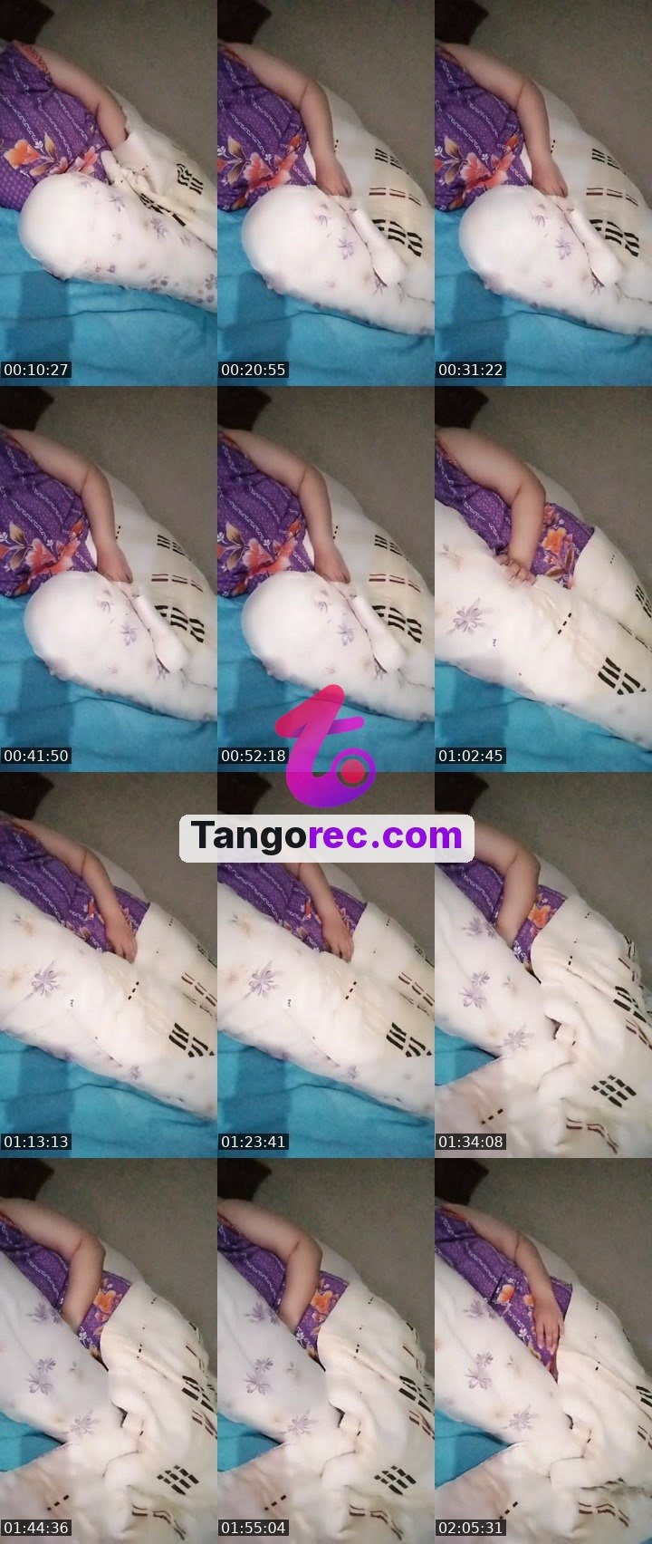 @business-bear-97472 Tango LIVE