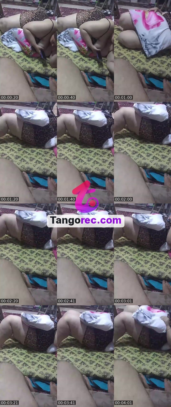 @millionaire-gorilla-314429 Tango live from 2026-09-30