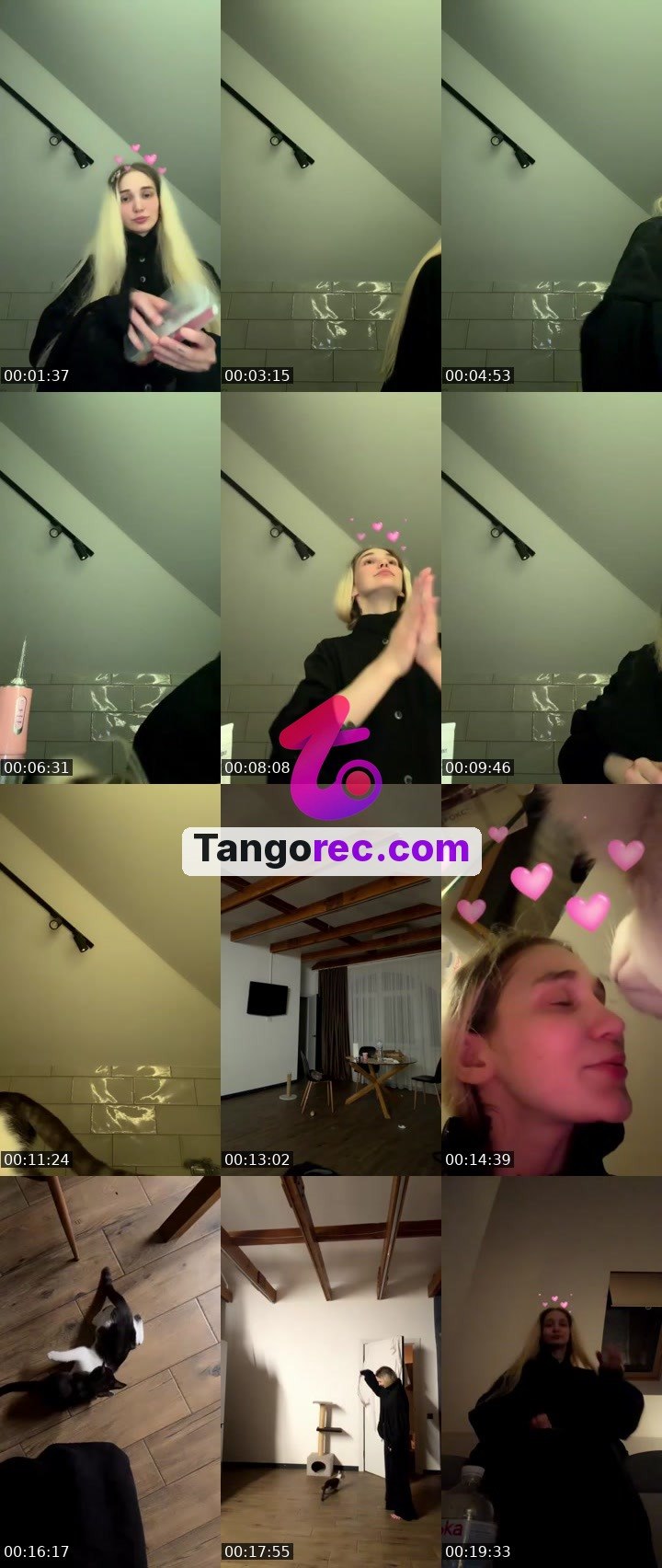 @xd67 Tango LIVE
