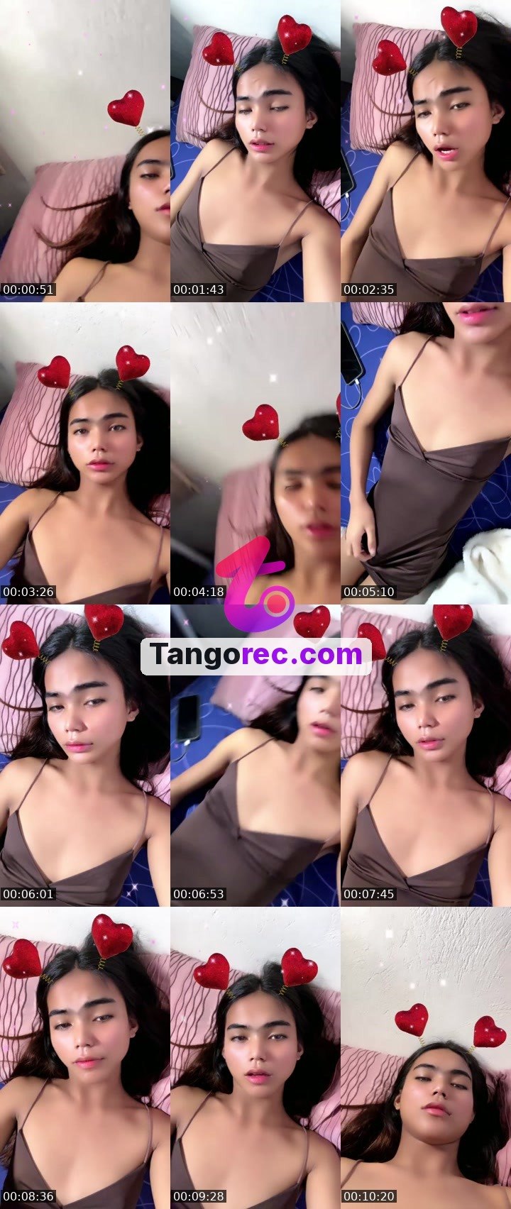 @steelstallion-603493 Tango LIVE
