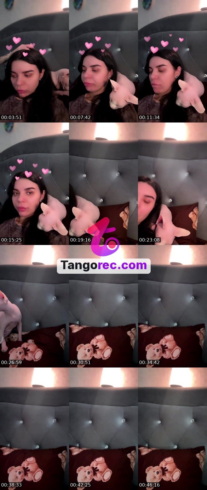 @idgaf666 Tango LIVE