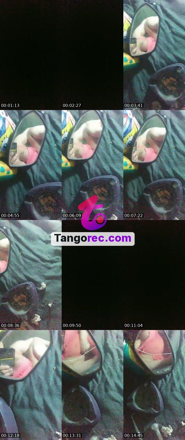 @obsidian-raven-54716 Tango live from 2026-10-01