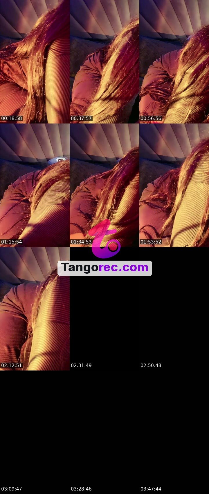 @nooon00 Tango live from 2026-10-01