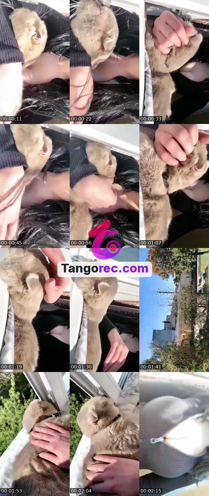 @lika_mirosh Tango LIVE from 2026-10-01