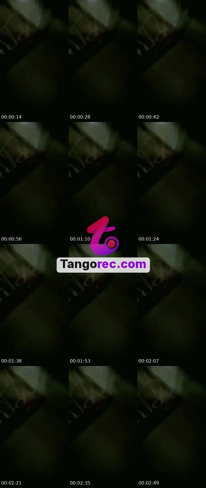 @3vvv Tango live from 2026-10-01