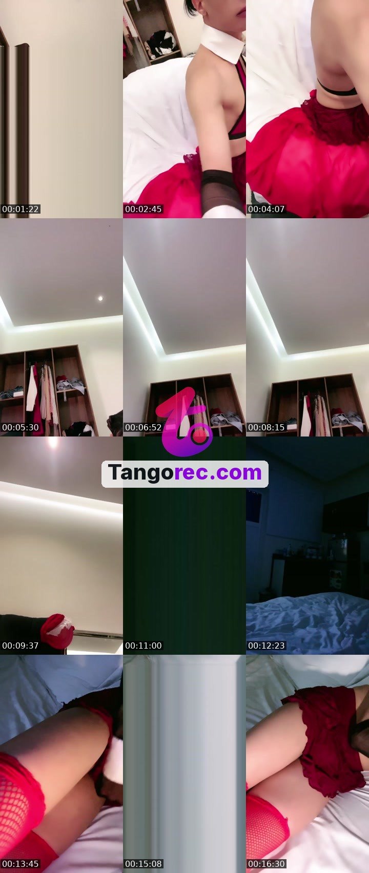 @apu140 Tango LIVE