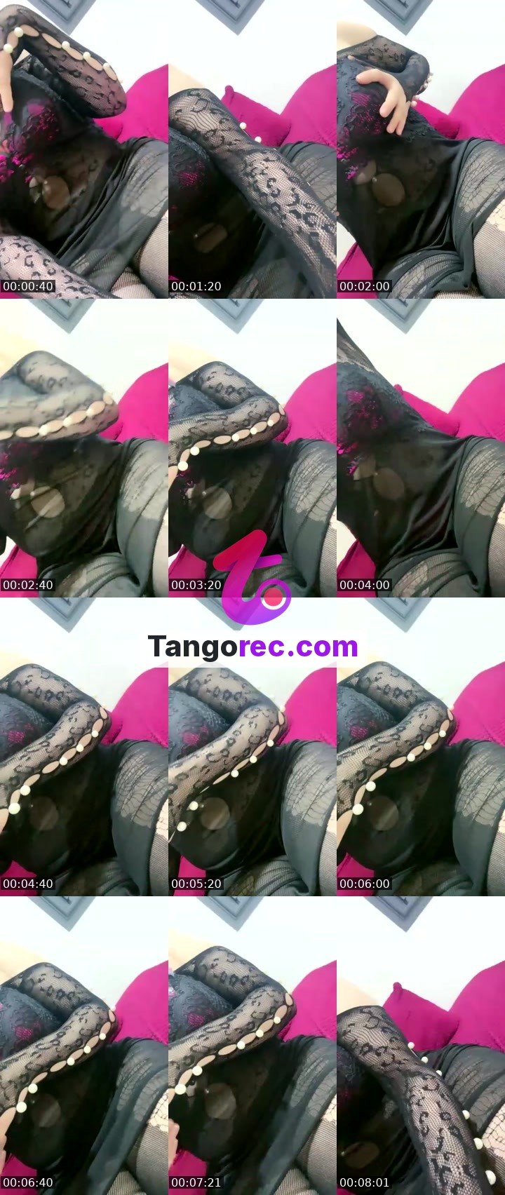 @queenfalcon6 Tango LIVE