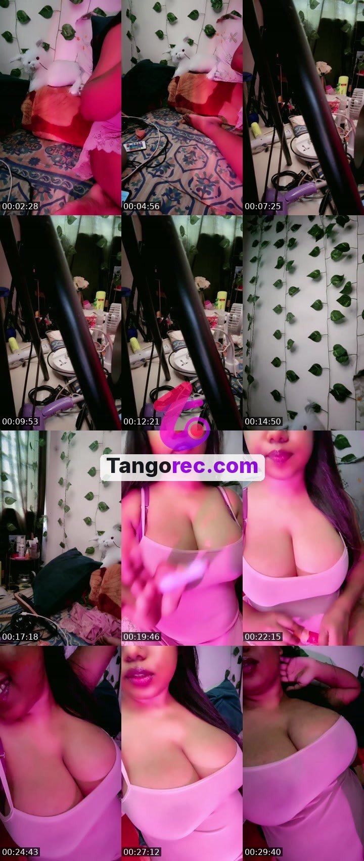 @queenwithdesires Tango LIVE