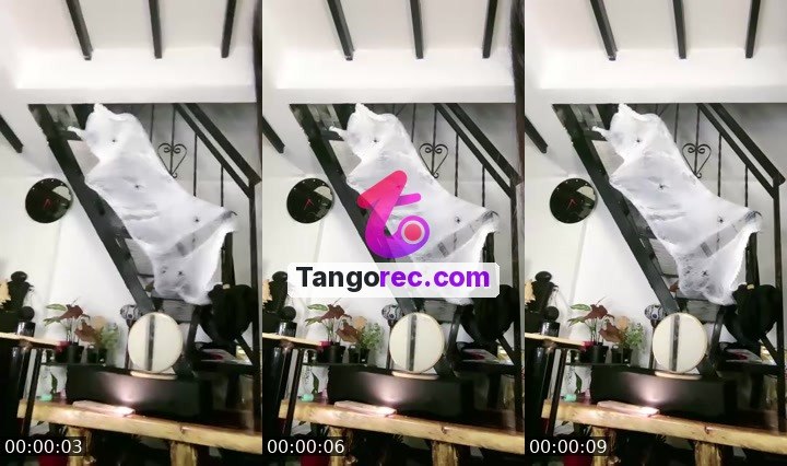 @tyael777 Tango LIVE