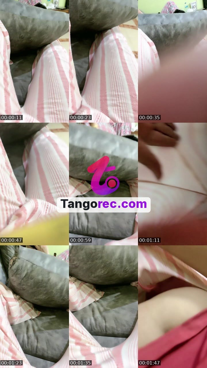 @rapidcat-100152 Tango LIVE
