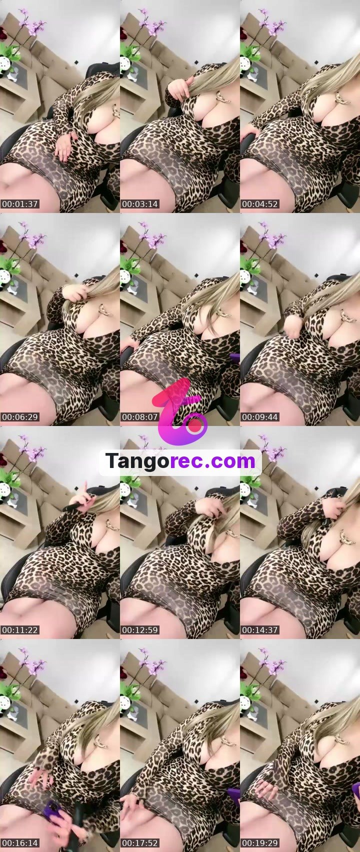 @itshanin11 Tango LIVE