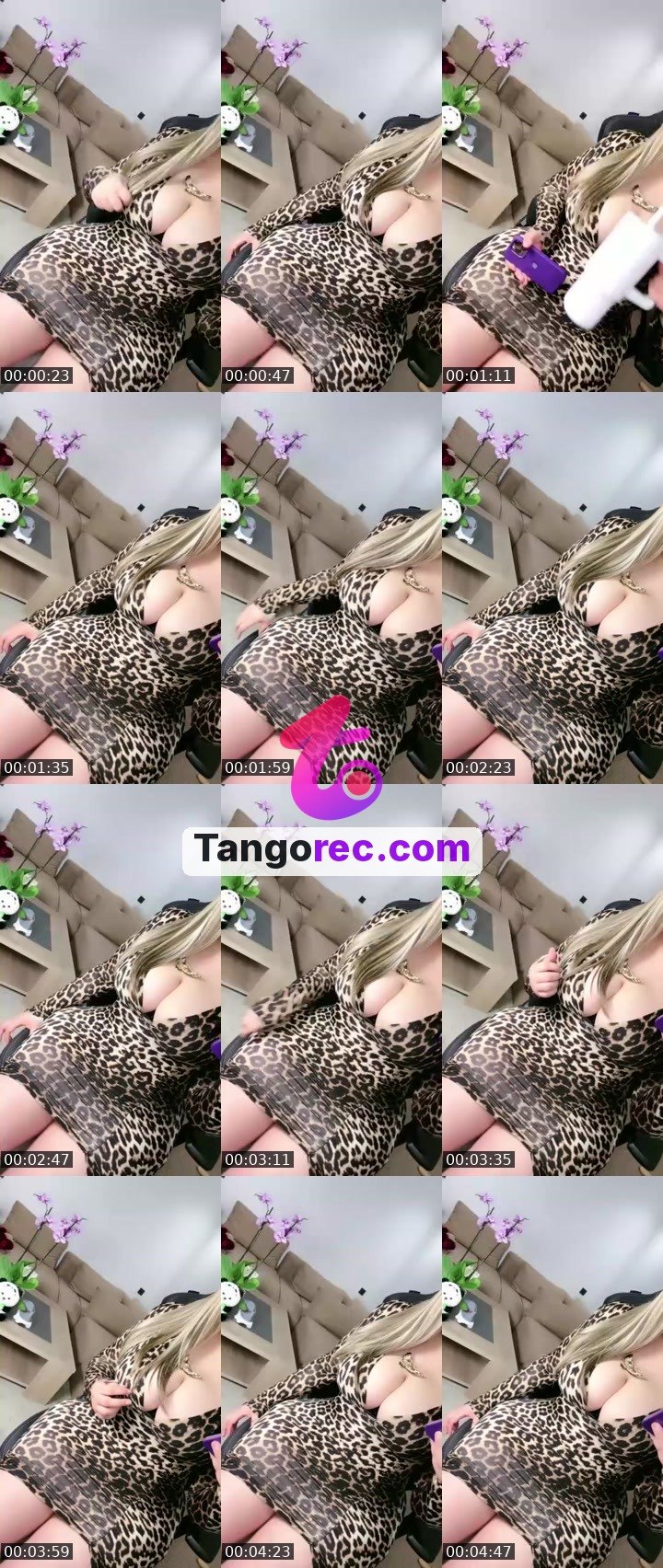 @itshanin11 Tango LIVE