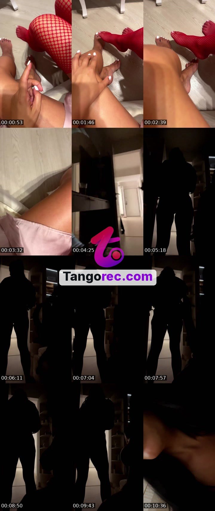 @habibi Tango LIVE