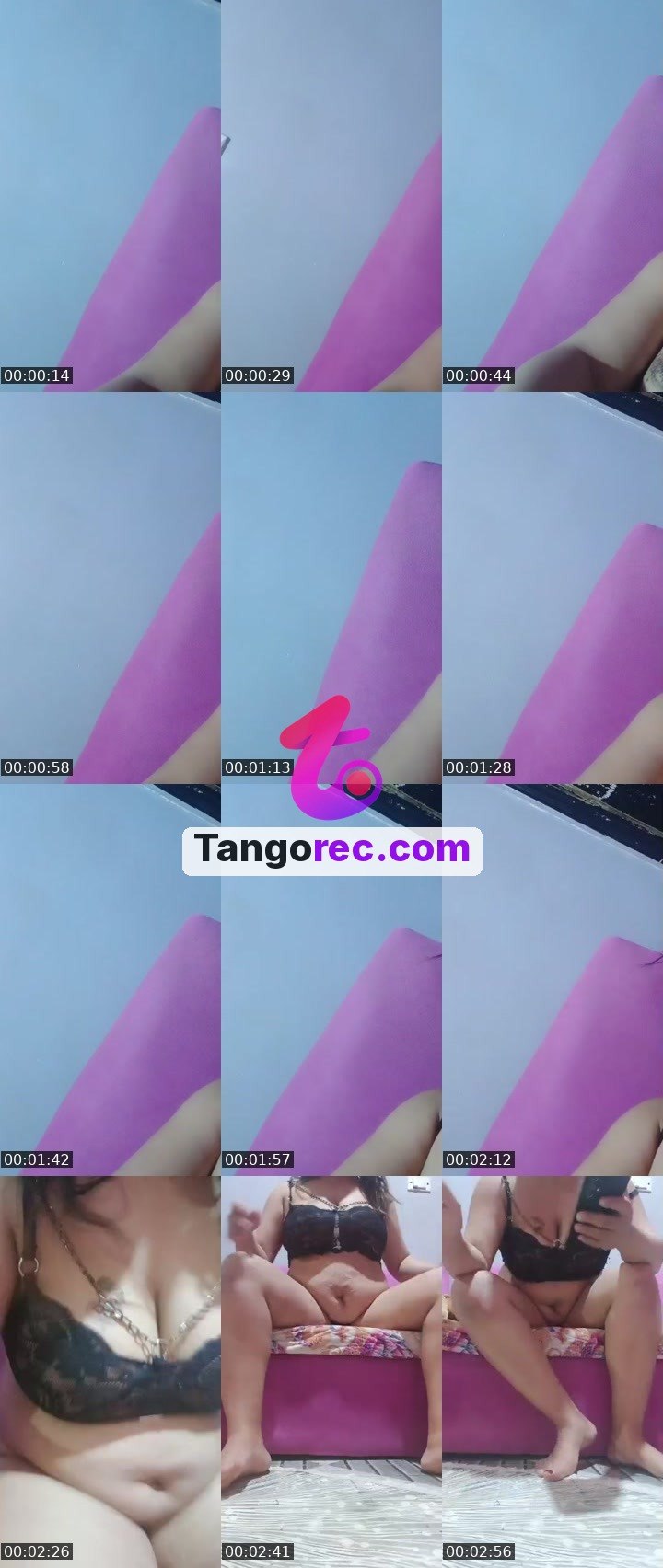 @fancy-boar-398221 Tango LIVE