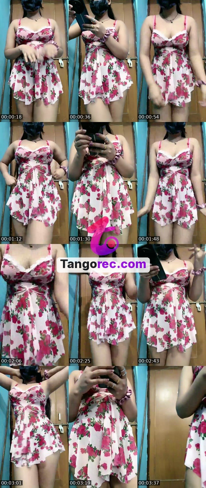 @pleasantfox-117940 Tango LIVE