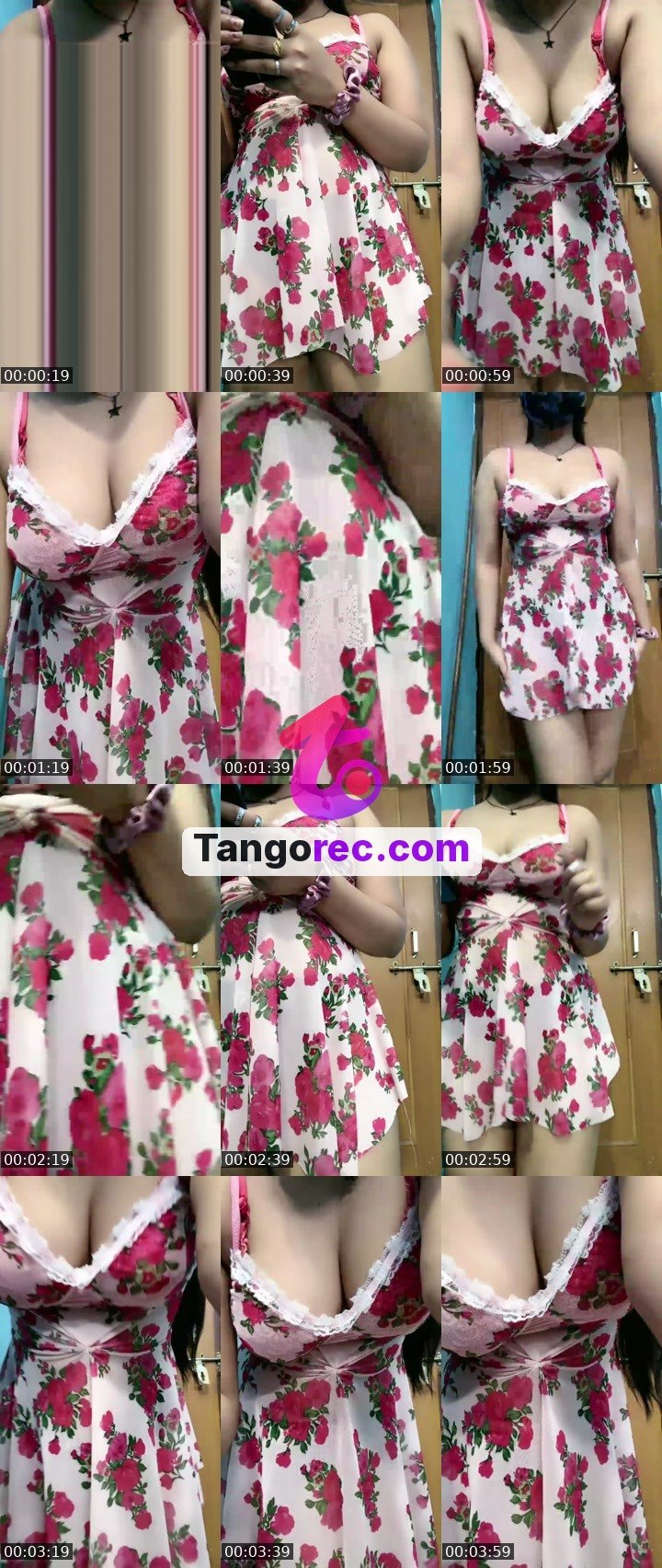 @pleasantfox-117940 Tango LIVE