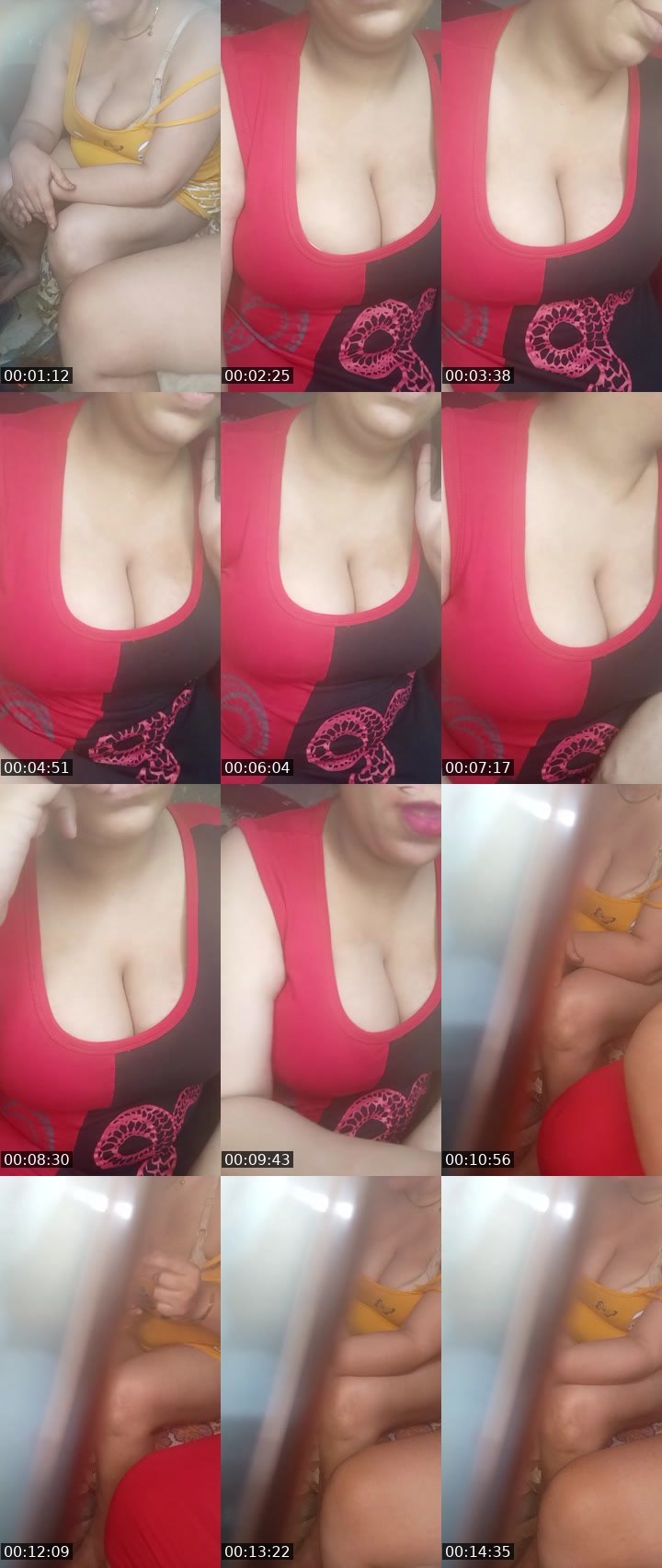@nice-fox-113626 Tango LIVE
